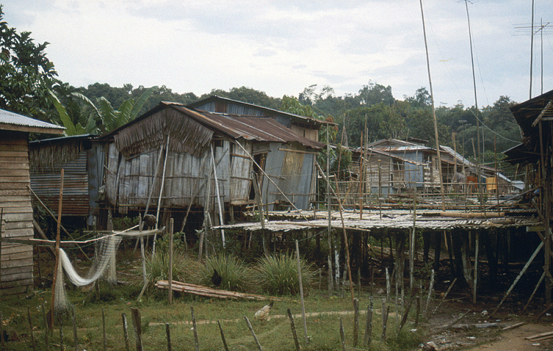 750_Deel van dayakdorp, Sarawak.jpg